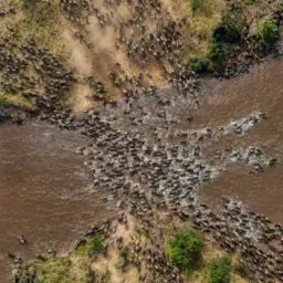 river crossing