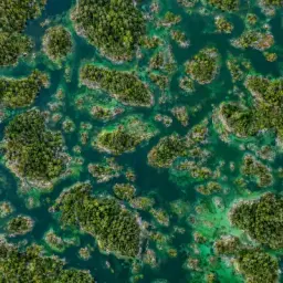 island swarm